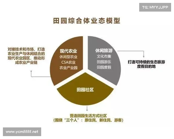 文化IP改编成功的关键因素与经验分析探讨
