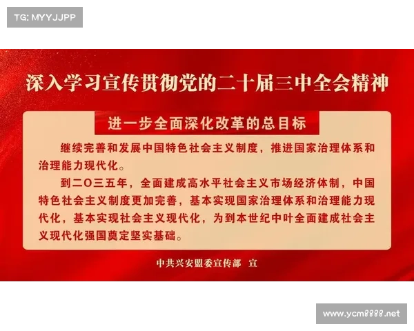 建业俱乐部组织性质定位与多层次功能体系的深入研究